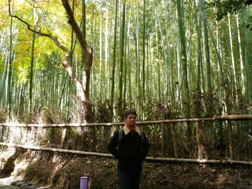 Arashiyama Bamboo Forest Nov 2006